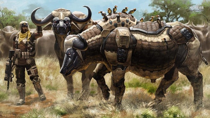 三只羊是不是被人做局了？